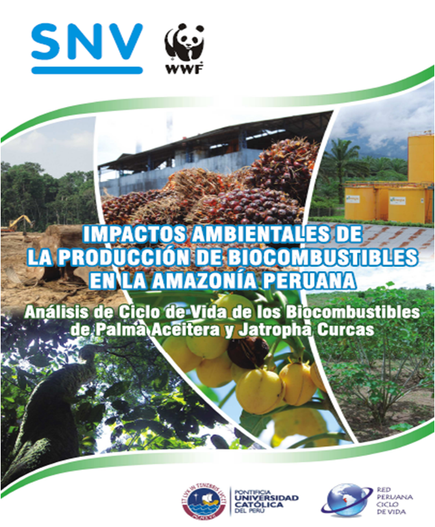 (Español) Analísis de Ciclo de Vida de los Biocombustibles en el Perú
