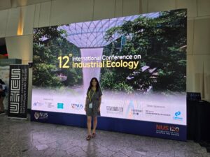 De los flujos de materiales a los escenarios globales de sostenibilidad