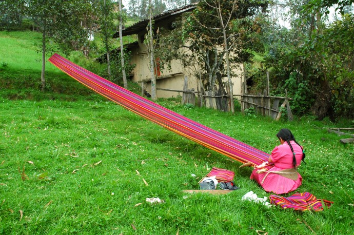 Foto1-FlorCienfuegos