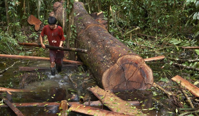 c0463511-6f38-4b7f-997e-9882250988b5