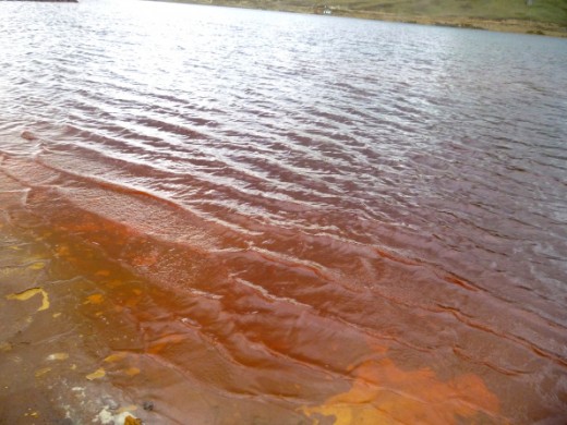 p1060142-11-e1444088652728