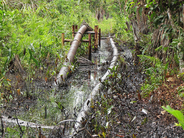 contaminacionpacayasamiria
