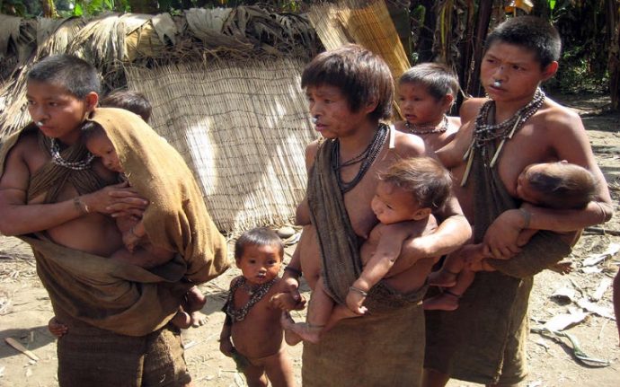 nahua-nanti_survival